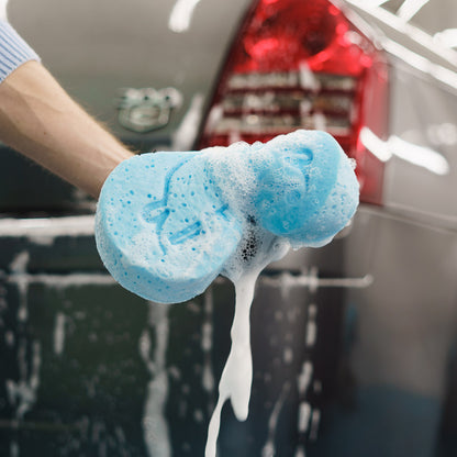 Wash Sponge2